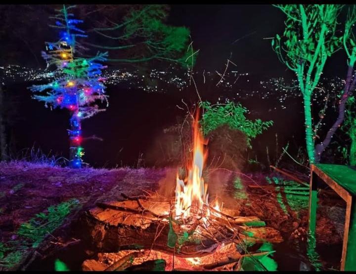 Apartamento Aagaman Woods Shimla Exterior foto